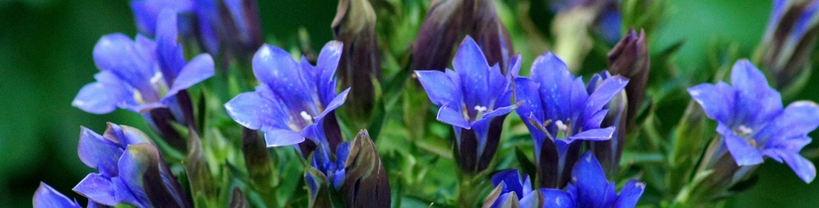 メインイメージ